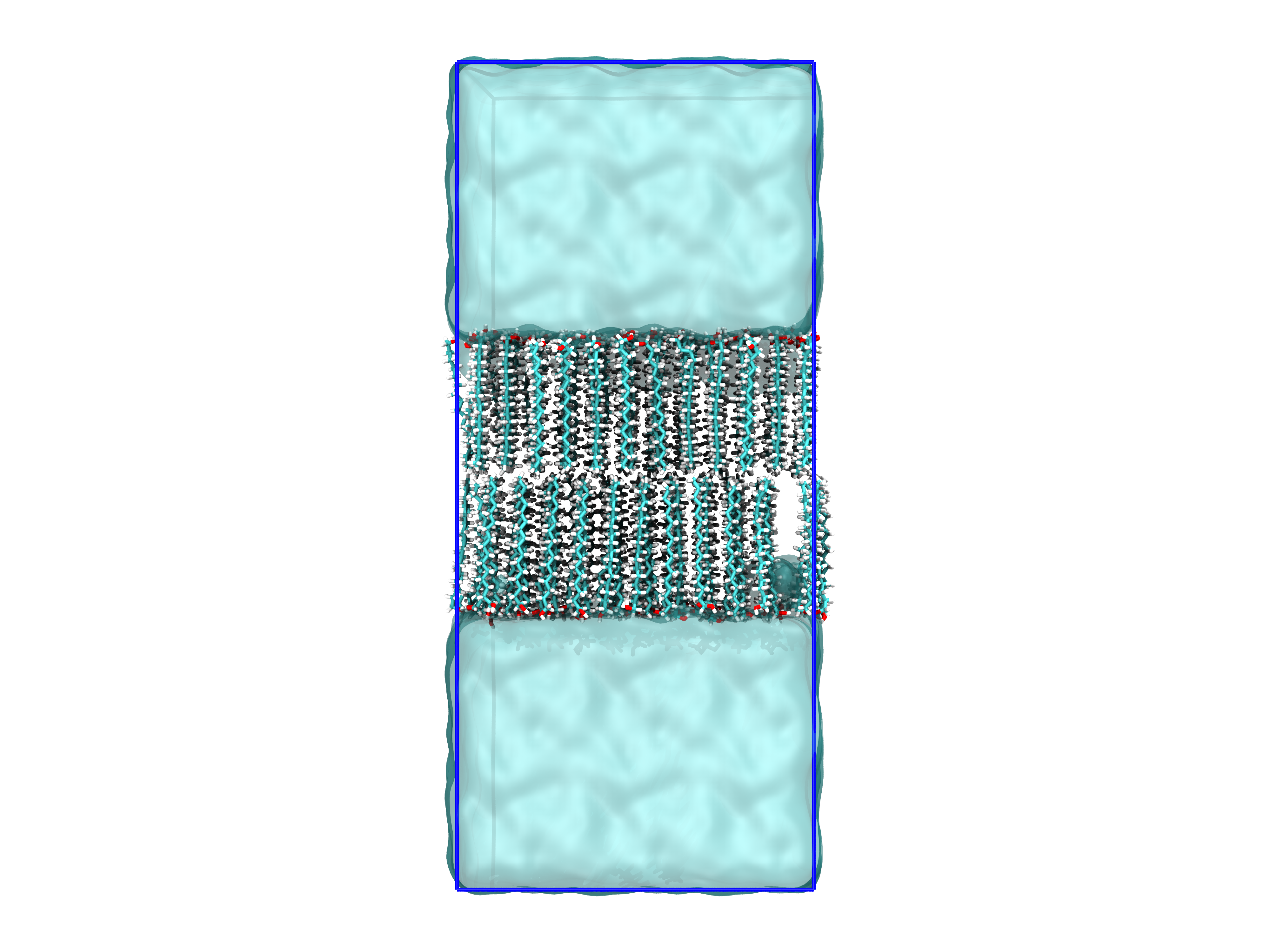 Alcohol Membrane System